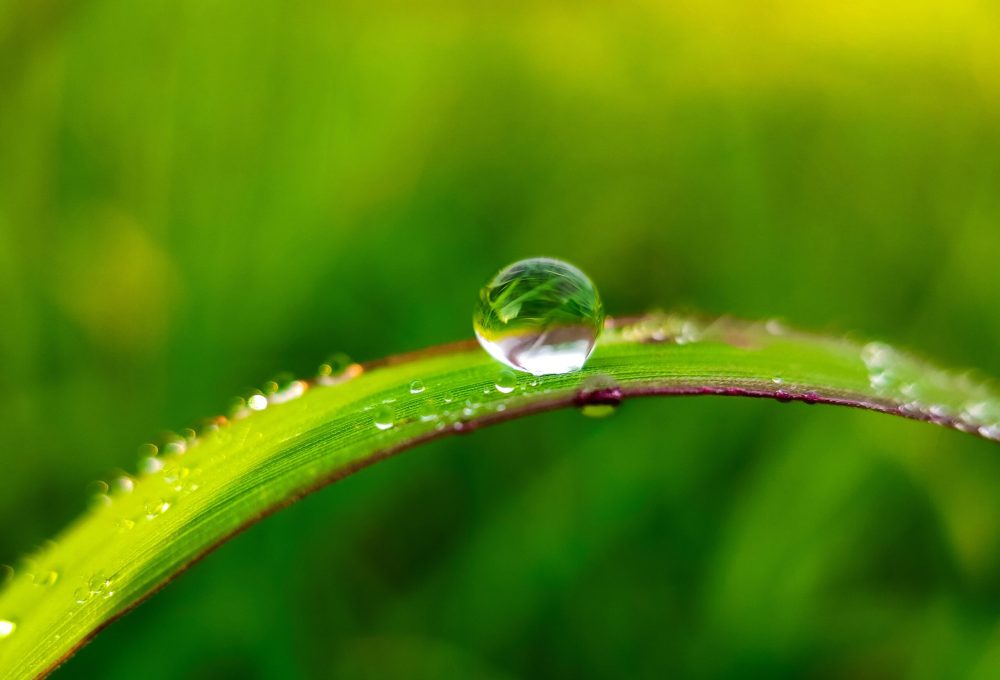 macro-photo-of-a-water-drop-on-a-blade-of-grass